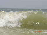 DSC03007.JPG
