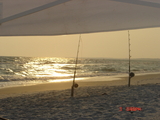 DSC03014.JPG