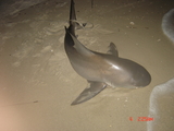 DSC03030.JPG