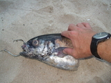 DSCF2867.JPG