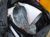 DSCF3041.JPG
