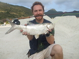 DSCF3375.JPG