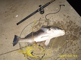 DSCI0046.JPG