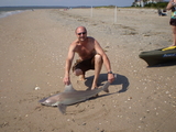 Edisto_4_4.jpg