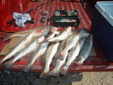 Fishing_1_030.jpg