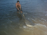 FloridaAugust009.jpg