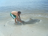 FloridaAugust028.jpg