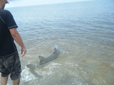 FloridaAugust035.jpg