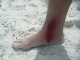 FloridaAugust041.jpg