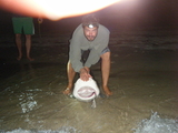 FloridaAugust058.jpg