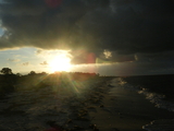 FloridaAugust061.jpg