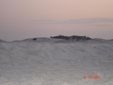 Florida_7-19_014.jpg