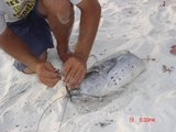 Florida_7-19_033.jpg