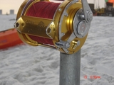 Florida_7-19_039.jpg