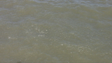 Frame_11.jpg