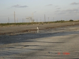 Holly_Beach_5-31-08_011.jpg