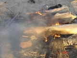 Holly_Beach_5-31-08_025.jpg