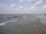 Holly_Beach_5-31-08_031.jpg