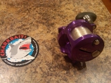 IMG00107-20110105-2048.jpg