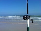 IMG00216-20110319-1540.jpg
