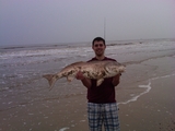 IMG00281-20100316-1423.jpg