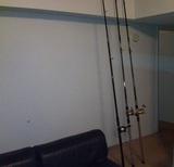 IMG00334-20100322-2213.jpg