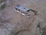 IMG00341-20100327-0828.jpg