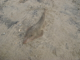 IMG_0029.JPG