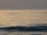 IMG_0040.JPG