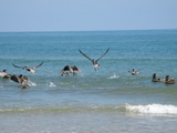 IMG_0173.JPG