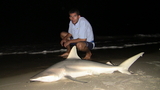 Filename=IMG_0325.JPG
Filesize=306KB
Dimensions=800x450
Date added=Aug 17, 2008 IMG_0325.JPG