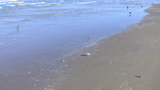 IMG_0818.JPG