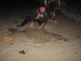 IMG_1122.jpg