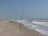 IMG_1635.jpg