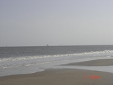 MacFaddin_5-3-08_001.jpg