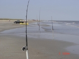 MacFaddin_5-3-08_002.jpg
