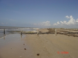 McFadden_6-15-08_003.jpg