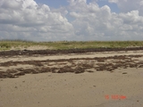 McFadden_6-15-08_008.jpg