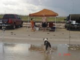 McFadden_6-15-08_022.jpg