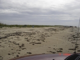 McFaddin_5-17-08_003.jpg