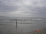 McFaddin_5-17-08_004.jpg