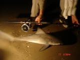 McFaddin_5-17-08_018.jpg