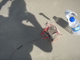 P1010144.JPG