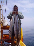 PICT0382.JPG