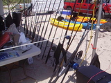 PICT0608.JPG