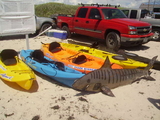 PICT0609.JPG