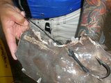 PINS20.jpg