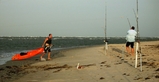 Sand_Dollar_6-29-08_011.jpg