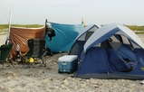 Sand_Dollar_6-29-08_012.jpg