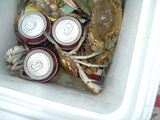 Surfside_Dec_18,_2008_017.JPG